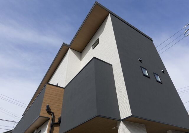 敷地を生かしたモノトーンスキップハウス