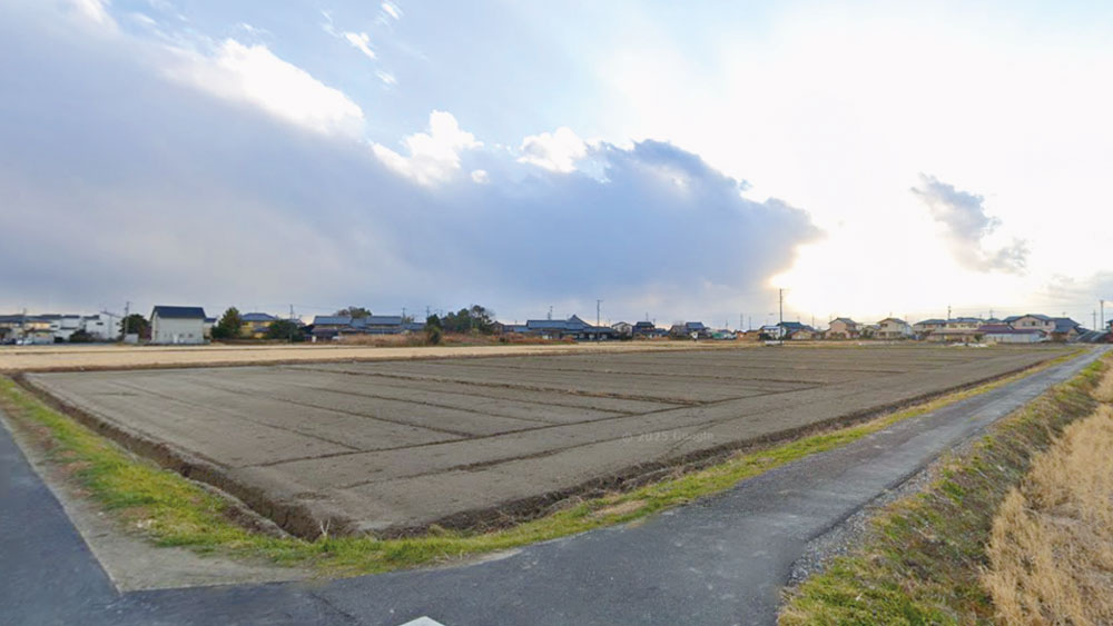 愛西市大井町 周辺環境